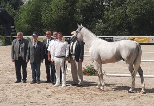Mezinárodní konference ISG a XXXIII. Národní přehlídka koní Martinice